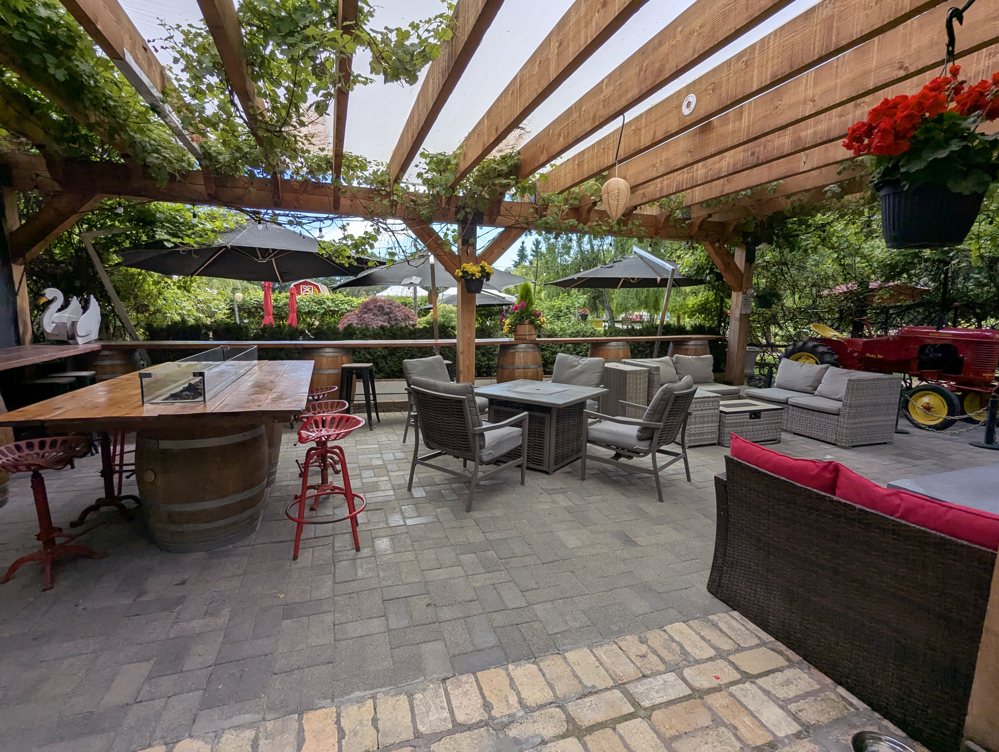 Birthday Trip to Canada, Country Vines Winery, Richmond, British Columbia